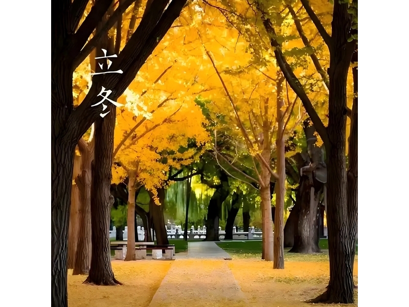 銅川礦務(wù)局中心醫(yī)院養(yǎng)生食話之二十四節(jié)氣—立冬