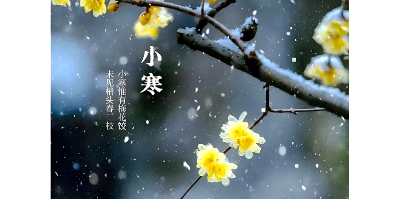 銅川礦務(wù)局中心醫(yī)院養(yǎng)生食話之二十四節(jié)氣—小寒