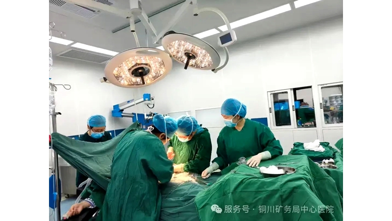 生命的接力