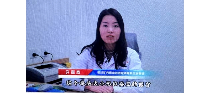 關(guān)注“三高”對腎臟的危害 讓健康從“腎”邊開始
